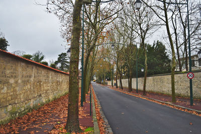 Road amidst trees against sky during autumn