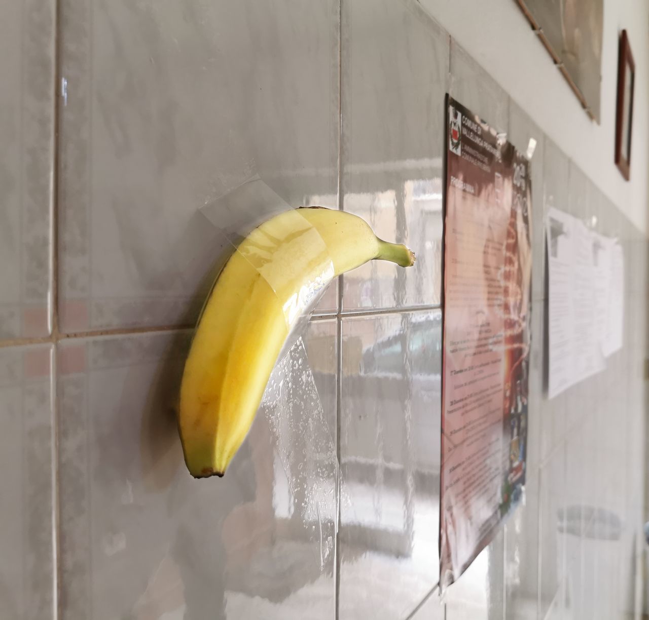 CLOSE-UP OF YELLOW FRUIT HANGING ON WINDOW