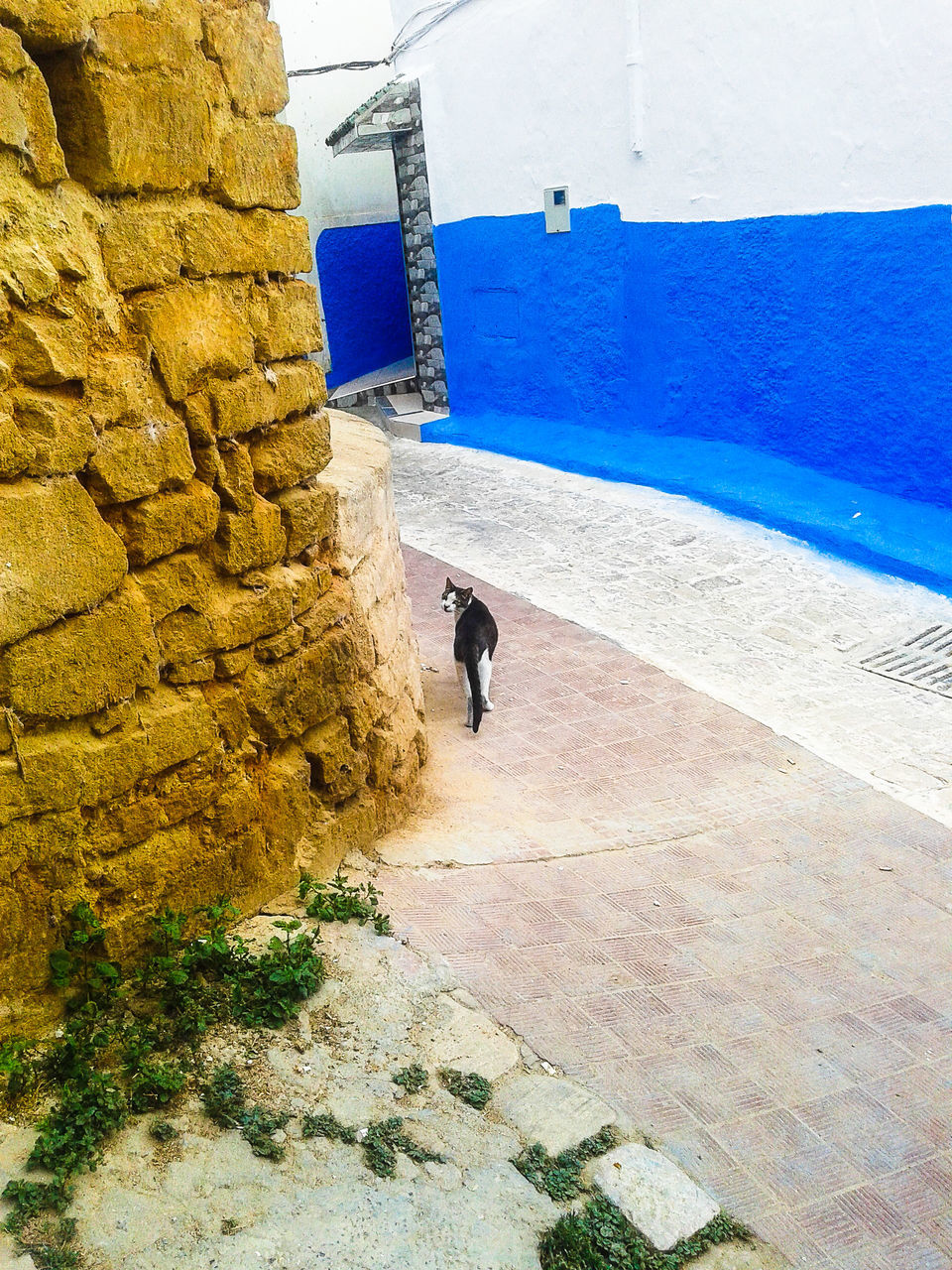 HIGH ANGLE VIEW OF MAN WALKING ON FOOTPATH IN CITY