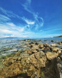 Surface level of rocks on shore against blue sky