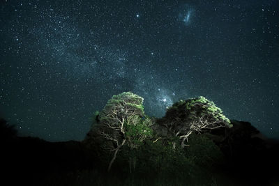 Scenic view of star field against sky at night