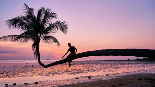 Silhouette man sitting on palm tree at beach against sky during sunset