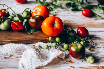 Tomatoes growing on table