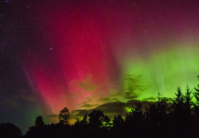 Low angle view of trees against northern lights at night