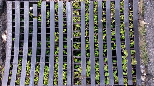 Close-up of metal fence