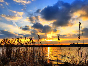 Scenic view of landscape against cloudy sky