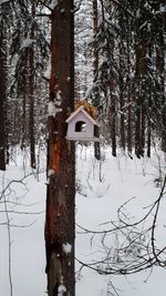 Bare trees on snow covered land