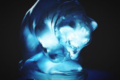 Close-up of ice crystals against black background