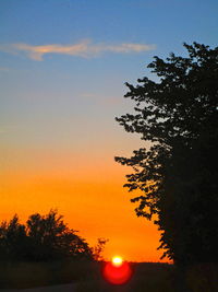 Silhouette trees against sky during sunset