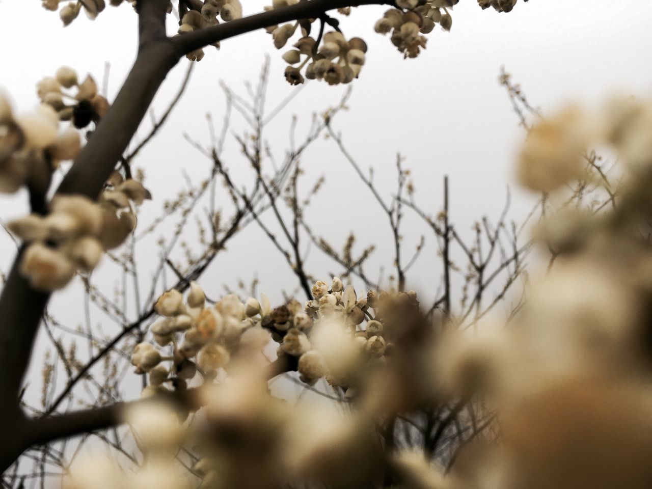 茶山竹海