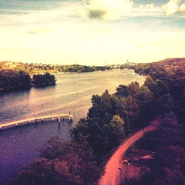 water, tree, sky, scenics, tranquil scene, river, beauty in nature, tranquility, sea, transportation, sunset, nature, cloud - sky, connection, road, bridge - man made structure, growth, idyllic, cloud, outdoors