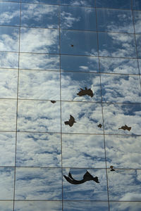 reflection