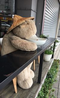 High angle view of ice cream in store