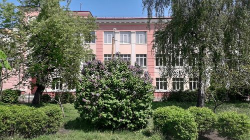 Trees and plants growing outside building