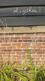 Close-up of text on brick wall