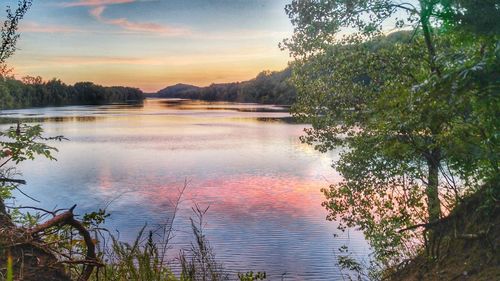 Reflection of trees in lake