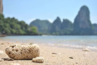 Surface level of rocks on beach