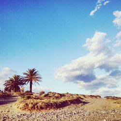 Scenic view of landscape against cloudy sky