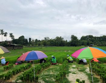 Tent on field against sky