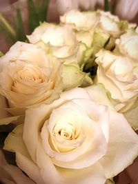 Close-up of rose bouquet