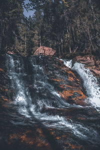 Scenic view of waterfall in forest