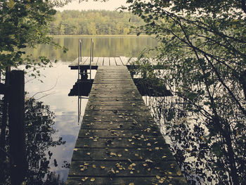Pier over lake against trees