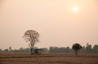 Scenic view of field against sky during sunset