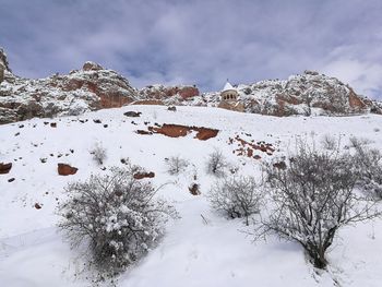 Snow covered plants against sky