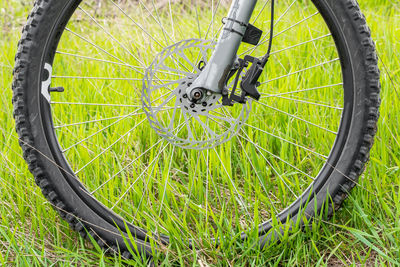 Fork and front wheel of a mountain bike with a 203 mm rotor on a background of green grass