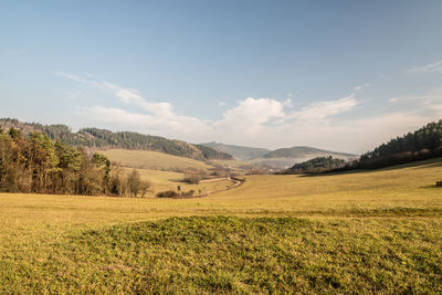 Scenic view of field against sky