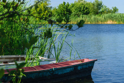 Scenic view of lake against trees