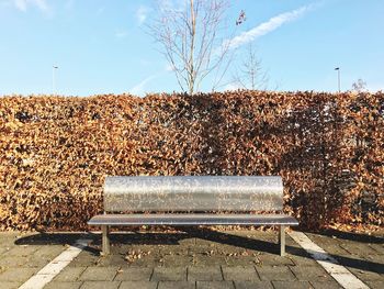 Empty bench in park against sky during autumn