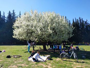 People at park against sky