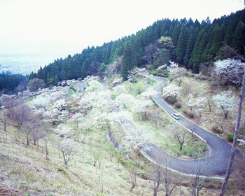 Scenic view of landscape against clear sky