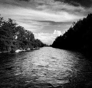 Scenic view of river amidst trees against sky