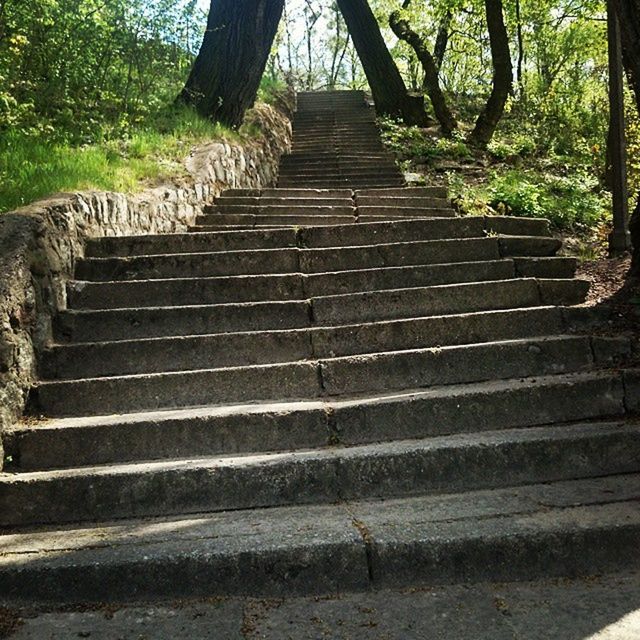 steps, steps and staircases, staircase, the way forward, tree, built structure, railing, stairs, architecture, sunlight, diminishing perspective, stone material, old, day, park - man made space, outdoors, pattern, history, no people, steps and staircase