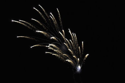 Low angle view of firework display at night