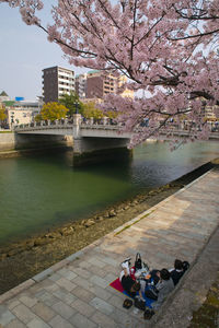 High angle view of people on cherry blossom by river in city