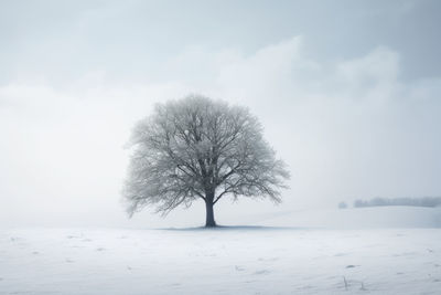 Bare tree on snow covered landscape against sky