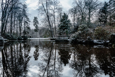 Reflection of trees in lake against sky