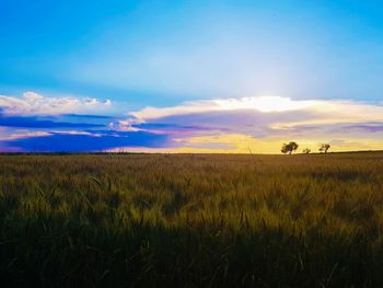 Scenic view of field against sky during sunset