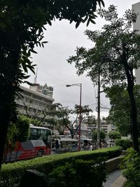 Trees in city against sky