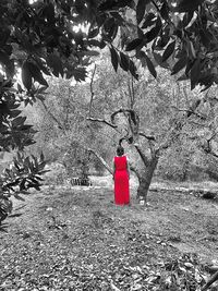 Rear view of woman with red umbrella standing on street