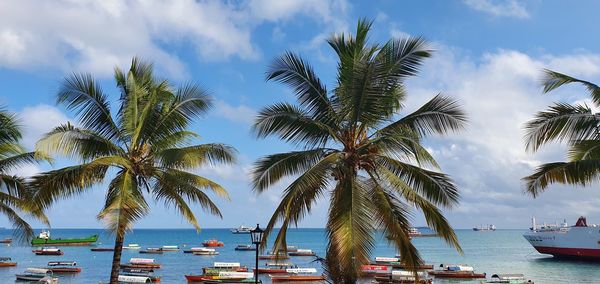 Sailboats moored on sea against sky