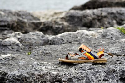 Close-up of abandoned toy on rock