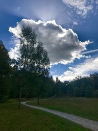Trees on field against sky