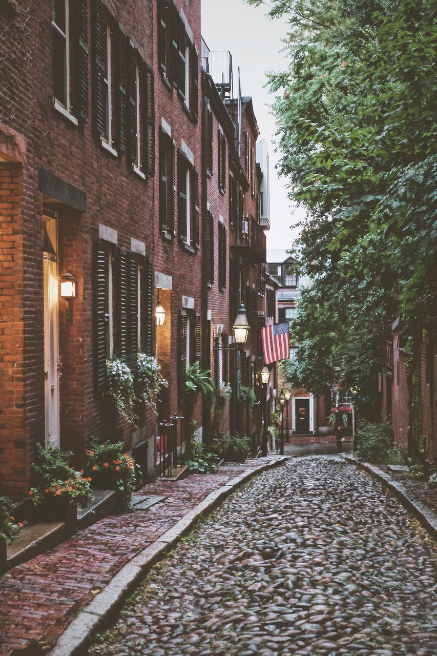 STREET AMIDST TREES AND BUILDINGS