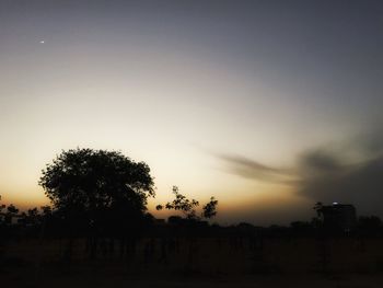 Silhouette trees against sky during sunset