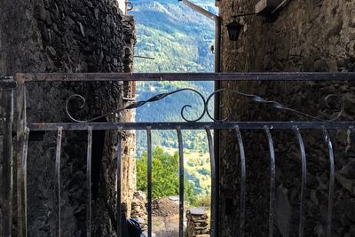 View of trees through window