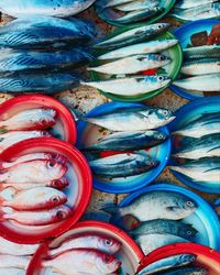 High angle view of fish for sale at market